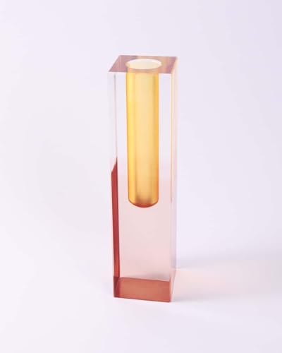Acrylic Vase, Bud Vase for Centerpieces, Maximalist Decor Cute Flowers Vases for Modern Home, Office, Bedroom, Living Room, Dining Table (Fluorescent Orange, Brown) - color: Orange, Brown
