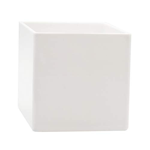 Royal Imports Flower Acrylic Vases Cubes - Decorative Centerpiece for Home or Wedding - Non Breakable Plastic, 6" - White - size: 6"x6"
