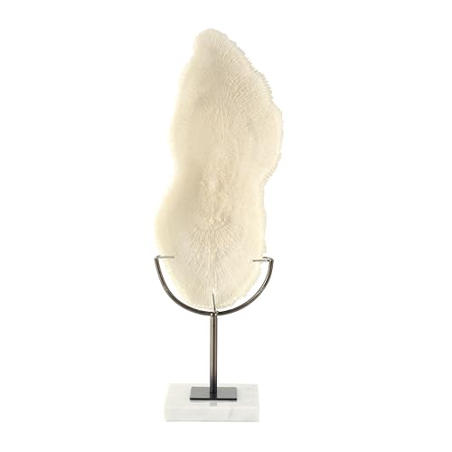 Deco 79 Polystone Coral Decorative Sculpture Abstract Textured Home Decor Statue with Gray Stand and Acrylic Base, Accent Figurine 7" x 5" x 19", Cream - size: 7" x 5" x 19"
