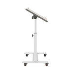 TigerDad Over Bed Table with Wheels Adjustable | Rolling Laptop Table Overbed Desk Hospital Tray Table Sofa Chair Side Table for Home Office (White) - color: White