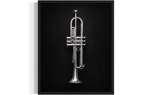 Trumpet Art Music Poster - Musical Instrumental Wall Art Print - Black and White - Photography Musical Art - Bedroom or Office Living Room Decor 137 (Trumpet, 16 x 20 inches, Unframed) - color: Trumpet, size: 20"L x 16"W