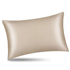 ALASKA BEAR Natural Silk Pillowcase, Hypoallergenic, 19 Momme, 600 Thread Count 100 Percent Mulberry Silk, Standard Size with Hidden Zipper (1,Champagne Gold) - color: Champagnegold, size: Standard 20''x26''