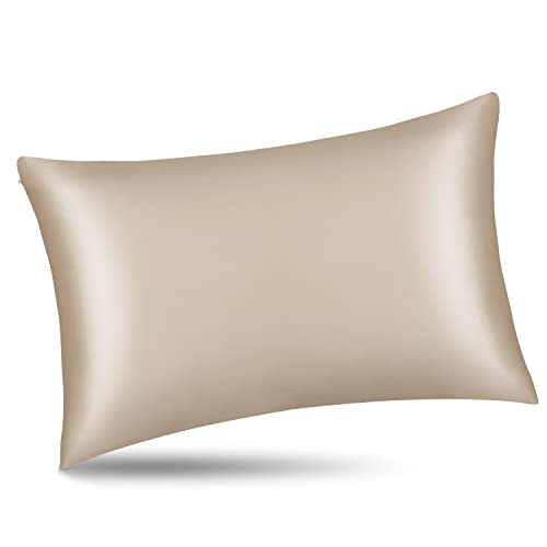 ALASKA BEAR Natural Silk Pillowcase, Hypoallergenic, 19 Momme, 600 Thread Count 100 Percent Mulberry Silk, Queen Size with Hidden Zipper (1,Champagne Gold) - color: Champagnegold, size: Queen 20''x30''