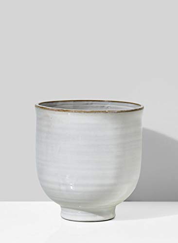 Serene Spaces Living Medium Glazed Ceramic Pedestal Bowl- Centerpiece for Vintage Weddings, Events, Measures 6" Tall and 5.75" Diameter - color: 5.75" Pedestal Bowl, 1 Pc