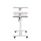 TigerDad Over Bed Table with Wheels Adjustable | Rolling Laptop Table Overbed Desk Hospital Tray Table Sofa Chair Side Table for Home Office (White) - color: White