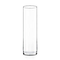 CYS Excel (H:16” D:4”) Tall Clear Glass Cylinder Vase | Multiple Size Choices Glass Flower Vase Centerpieces | Tall Hurricane Floating Candle Holder - size: H-16" D-4"