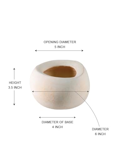 Serene Spaces Living Sienna Ivory Cement Bowl, Decorative Planter, 6" Diameter x 3.5" Tall - size: Pack 1