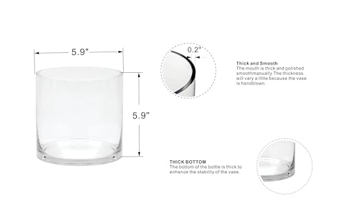 6" Wide 6" Tall Large Hand Blown Sturdy Clear Cylinder Glass Vase, Centerpiece Flower Vase for Rose, Tulip, Boquets, Hurricane Candle Holder (1, 6"x6") - size: 6"x6"