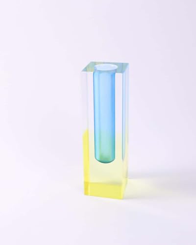 Acrylic Vase, Bud Vase for Centerpieces, Maximalist Decor Cute Flowers Vases for Modern Home, Office, Bedroom, Living Room, Dining Table (Blue, Yellow) - color: Blue, Yellow