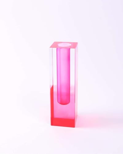 Acrylic Vase, Bud Vase for Centerpieces, Maximalist Decor Cute Flowers Vases for Modern Home, Office, Bedroom, Living Room, Dining Table (Pink, Purple) - color: Pink，purple