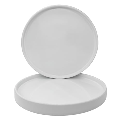 2 Pack Ceramic Plant Saucer Pot Tray 7 Inch, Planter Saucers 4 5 6 7 8 9 10 11 12 13 Inch for Indoors Outdoor, Durable Sturdy Flower Drainage drip Water Tray for Glazed Pots Base (7 Inch-White) - color: White, size: 7in 2pack