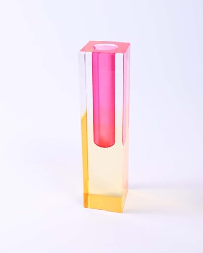 Acrylic Vase, Bud Vase for Centerpieces, Maximalist Decor Cute Flowers Vases for Modern Home, Office, Bedroom, Living Room, Dining Table (Fluorescent Pink, Sunny Orange) - color: Pink, Orange