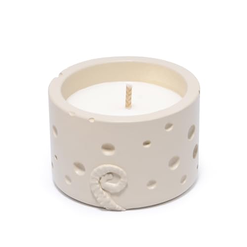 Hodao Oceanic Serenity Handcrafted Aromatherapy Box with Candle & Decor – Beach Rock Sculpture with Sea Turtle, Seashells, for Home, Bathroom, Yoga Room Decor (Brown-Seahorse) - color: Brown-seahorse