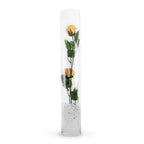 WGVI Quality Thick Weighted Tall Clear Cylinder Glass Vases, 4" W x 24" H, Flower Arrangement Floating Candle Holders Wedding Centerpieces Event Floral Container Tabletop Display Décor, 1 Piece - size: 4"x24"H