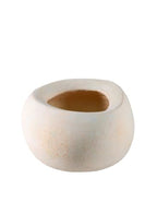 Serene Spaces Living Sienna Ivory Cement Bowl, Decorative Planter, 6" Diameter x 3.5" Tall - size: Pack 1