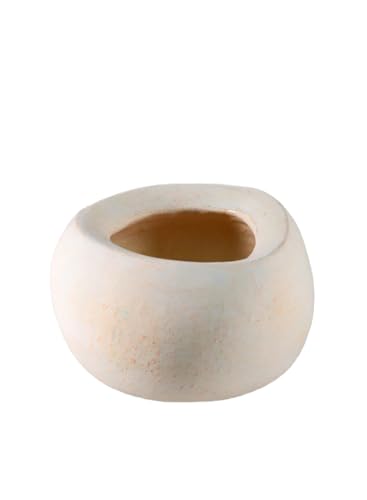 Serene Spaces Living Sienna Ivory Cement Bowl, Decorative Planter, 6" Diameter x 3.5" Tall - size: Pack 1
