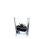 WGVI Clear Glass Tea Light Votive Candle Holder, Width 4", Height 4", Clear Round Triangular Opening, Glass Vase, Floral Container, Small Planter Terrarium, 1 Piece - size: Clear Triangular 4"H