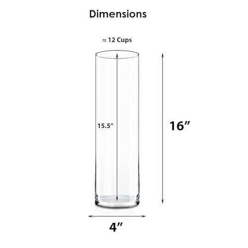 CYS Excel 2 PCS Clear Glass Cylinder Vase (D:4" H:16") | Multiple Size Choices Glass Flower Vase Centerpieces | Hurricane Floating Candle Holder Vase - size: 4" wide x 16" tall