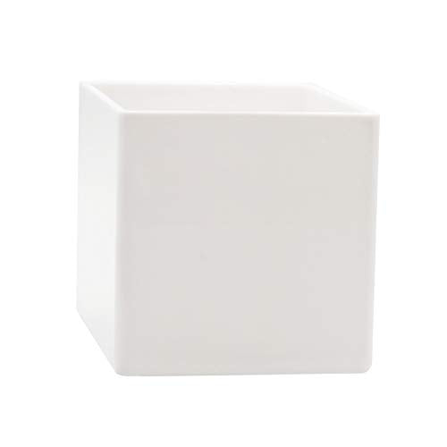 Royal Imports Flower Acrylic Vases Cubes - Decorative Centerpiece for Home or Wedding - Non Breakable Plastic, 5" - White - size: 5"x5"
