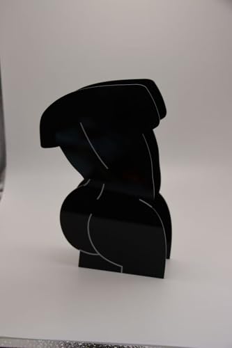Black Acrylic Vase, Modern Abstract Sculptural Design, Home Decor Tabletop Accent, 11.8 Inch Height