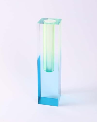 Acrylic Vase, Bud Vase for Centerpieces, Maximalist Decor Cute Flowers Vases for Modern Home, Office, Bedroom, Living Room, Dining Table (Fluorescent Green, Sky Blue) - color: Green,blue