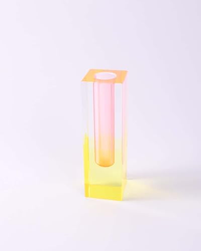 Acrylic Vase, Bud Vase for Centerpieces, Maximalist Decor Cute Flowers Vases for Modern Home, Office, Bedroom, Living Room, Dining Table (Pink, Yellow) - color: Pink, Yellow