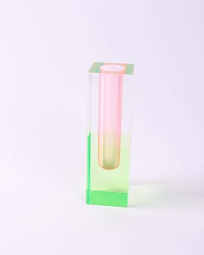 Acrylic Vase, Bud Vase for Centerpieces, Unique Eclectic Decor Cute Flowers Vases for Modern Home, Office, Bedroom, Living Room, Dining Table (Pink, Green) - color: Pink, Green