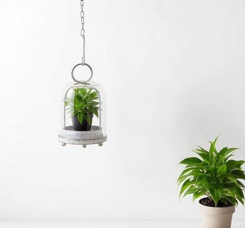 7.5" High Versatile Modern Metal Hurricane Lantern with Handmade Sturdy Glass Dome in Shabby White for 2" Pillar Candle & Plants, Industrial, Farmhouse (White Shabby, 4" x7.5 for 2" Pillar) - color: White Shabby, size: 4"x7.5"