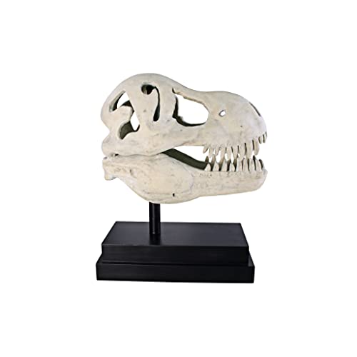 Design Toscano T-Rex Dinosaur Skull Fossil Statue on Museum Mount - style: T-Rex Dinosaur Skull