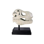 Design Toscano T-Rex Dinosaur Skull Fossil Statue on Museum Mount - style: T-Rex Dinosaur Skull