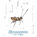 Mechanical Metal DIY 3D Insect Cricke Model Brass Puzzle Kits Puzzle for Adults, Steampunk Electric Mechanical, Assembly DIY Gift Craft Hobby for Men Christmas Decorations(Cricket) - style: Cricket