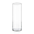 CYS EXCEL Cylinder Clear Glass Vase (H:20" D:6") | Multiple Size Choices Glass Flower Vase Centerpieces | Hurricane Floating Candle Holder Vase - size: H-20" D-6"