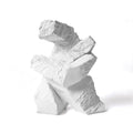 Statues for Home Decor, Tai Chi White Sculptures Home Decor Sumo Resin Figurine Abstract Art Unique for Living Room Office Shelf Side Table Entryway Decorations Eclectic Gamer Dancer Men Gifts