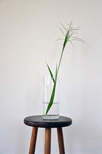 WGV Quality Thick Cylinder Vase, Diameter 5", Height 12", Clear Glass Floral Planter Container, Tall Centerpiece Arrangement for Wedding Home Decor, 1 Piece - size: 5"x12"H CL