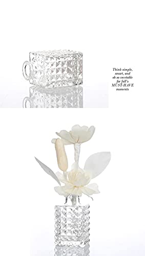 Mini Clear Glass Vase,Small Flower Bud Vase Hydroponics Planter Decorative for Flower,Table,Party,Home,Centerpieces(Clear 8) - color: Clear 8