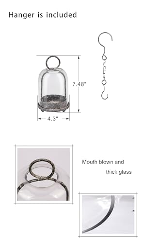 7.5" High Versatile Modern Metal Hurricane Lantern with Handmade Sturdy Glass Dome in Shabby Black for 2" Pillar Candle & Plants, Industrial, Farmhouse (Black Shabby, 4" x7.5 for 2" Pillar) - color: Black Shabby, size: 4"x7.5"