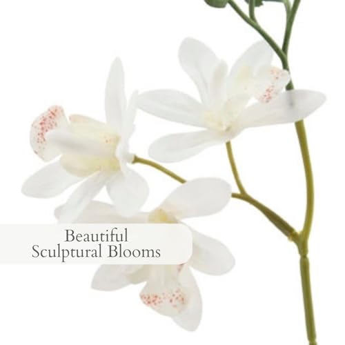 CG Hunter Faux Vanda Orchid Plant, Premium Artificial Indoor Flower Display Stands 20.5”, Beautiful Sculptural Blooms that Lasts Forever, White Planter Pot Included - size: 20.5" Vanda Orchid