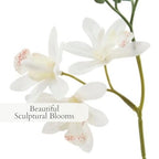 CG Hunter Faux Vanda Orchid Plant, Premium Artificial Indoor Flower Display Stands 20.5”, Beautiful Sculptural Blooms that Lasts Forever, White Planter Pot Included - size: 20.5" Vanda Orchid