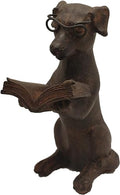 Young's Inc Resin Reading Dog with Glasses - style: Dog Reading
