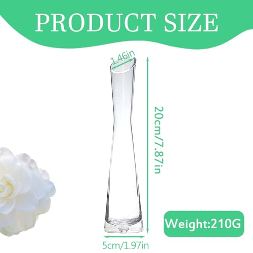 Clear Glass Thin Narrow Necked Bud Vase Slim Single Stem Flower Vase Floral Vase Centerpiece for Wedding Party Home Table Decor - size: 20cm/7.9inch