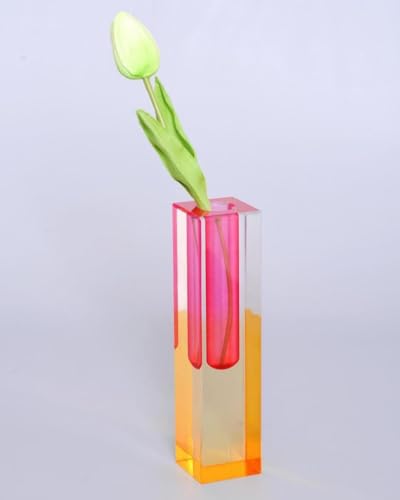 Acrylic Vase, Bud Vase for Centerpieces, Maximalist Decor Cute Flowers Vases for Modern Home, Office, Bedroom, Living Room, Dining Table (Fluorescent Pink, Sunny Orange) - color: Pink, Orange