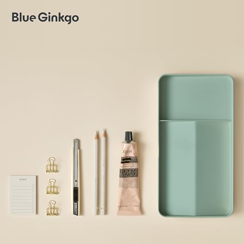 BLUE GINKGO Desk Tray – Korean-Made Organizer for Notes, Pens, Pencils, and Accessories (Double-sided, Green) - color: GREEN, size: TRAY