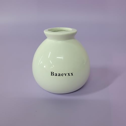 Baaevxx Flower Vases – Minimalist Design, Ideal for Home or Office Decoration