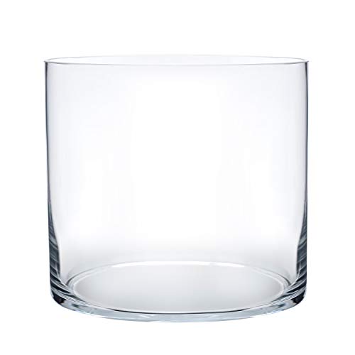 Royal Imports Flower Glass Vase Decorative Centerpiece for Home or Wedding - Cylinder Shape (8" Wide x 8" Tall, Clear) - size: 8" wide x 8" tall