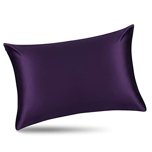 ALASKA BEAR Silk Pillowcase for Hair and Skin, Set of 2 Pure Genuine 22 Momme Mulberry Silk Pillow Cases Standard Size for Bliss Sleep Better Than Poly Satin, Zipper Closure(2pc, Dark Purple) - color: Purple, size: 2 Pack Standard 20''x26''