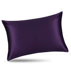 ALASKA BEAR Natural Silk Pillowcase, 100 Percent Mulberry Silk, Queen Size (1 Pack, Dark Purple) - color: Purple, size: Queen 20''x30''