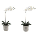 CG Hunter Faux Phale White Orchid Plant, Set-of-2 Premium Artificial Indoor Flower Display Stands 22”, Beautiful Sculptural Blooms that Lasts Forever, Planter Pot Included - size: 22" White Phale Orchid (Set-of-2)