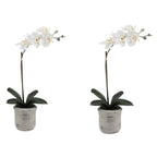 CG Hunter Faux Phale White Orchid Plant, Set-of-2 Premium Artificial Indoor Flower Display Stands 22”, Beautiful Sculptural Blooms that Lasts Forever, Planter Pot Included - size: 22" White Phale Orchid (Set-of-2)