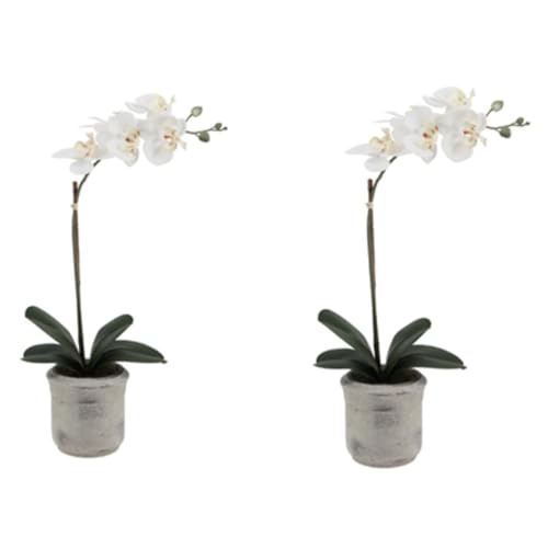 CG Hunter Faux Phale White Orchid Plant, Set-of-2 Premium Artificial Indoor Flower Display Stands 22”, Beautiful Sculptural Blooms that Lasts Forever, Planter Pot Included - size: 22" White Phale Orchid (Set-of-2)