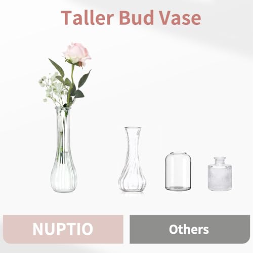 NUPTIO Glass Bud Vases Centerpiece: 3 Pcs Small Flower Vase for Wedding in Bulk - Cute Clear Ribbed Vase for Party Events Home Table Decor